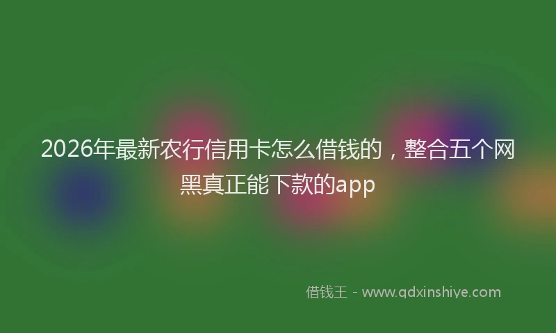 2026年最新农行信用卡怎么借钱的，整合五个网黑真正能下款的app