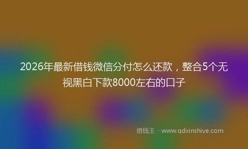 2026年最新借钱微信分付怎么还款,整合5个无视黑白下款8000左右的口子