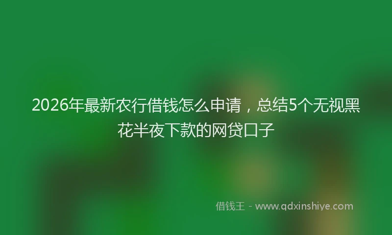 2026年最新农行借钱怎么申请，总结5个无视黑花半夜下款的网贷口子