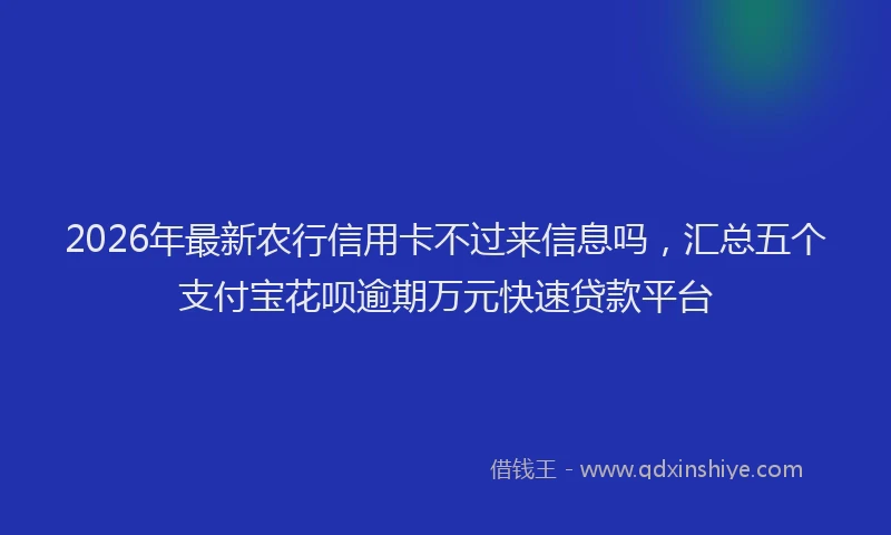 2026年最新农行信用卡不过来信息吗,汇总五个支付宝花呗逾期万元快速贷款平台