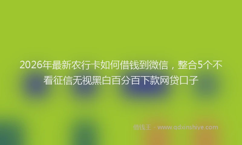 2026年最新农行卡如何借钱到微信，整合5个不看征信无视黑白百分百下款网贷口子