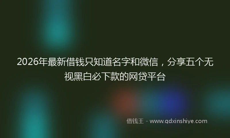 2026年最新借钱只知道名字和微信，分享五个无视黑白必下款的网贷平台