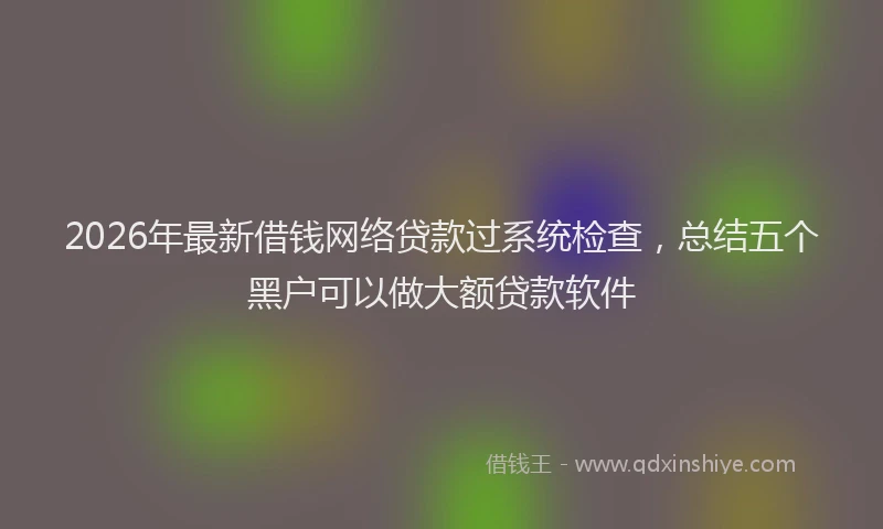 2026年最新借钱网络贷款过系统检查，总结五个黑户可以做大额贷款软件