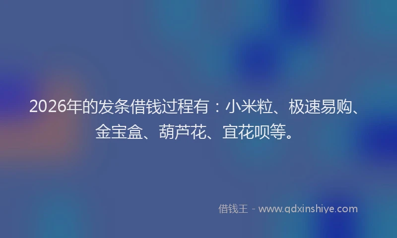 2026年的发条借钱过程有：小米粒、极速易购、金宝盒、葫芦花、宜花呗等。