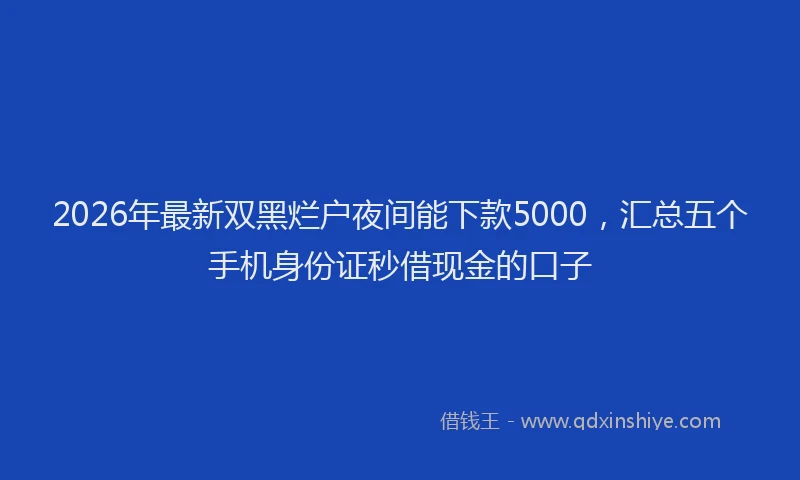 2026年最新双黑烂户夜间能下款5000，汇总五个手机身份证秒借现金的口子