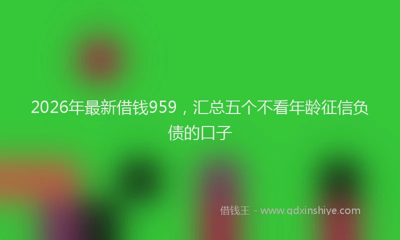 2026年最新借钱959,汇总五个不看年龄征信负债的口子