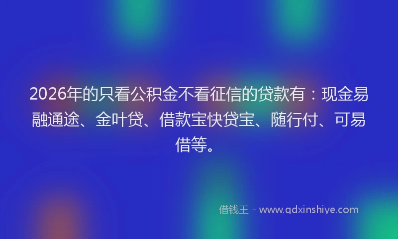 2026年的只看公积金不看征信的贷款有:现金易融通途、金叶贷、借款宝快贷宝、随行付、可易借等。