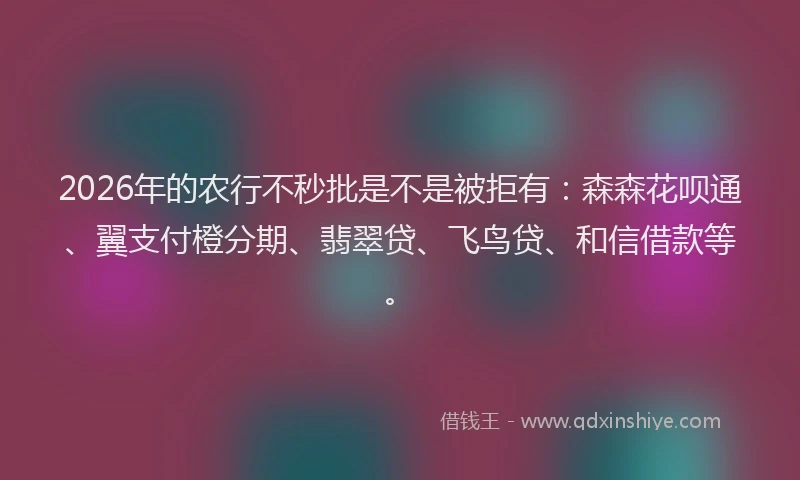 2026年的农行不秒批是不是被拒有：森森花呗通、翼支付橙分期、翡翠贷、飞鸟贷、和信借款等。