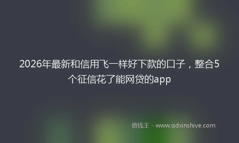 2026年最新和信用飞一样好下款的口子,整合5个征信花了能网贷的app