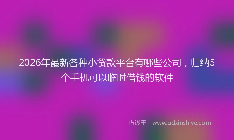 2026年最新各种小贷款平台有哪些公司，归纳5个手机可以临时借钱的软件