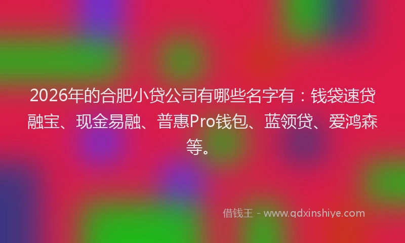 2026年的合肥小贷公司有哪些名字有:钱袋速贷融宝、现金易融、普惠Pro钱包、蓝领贷、爱鸿森等。