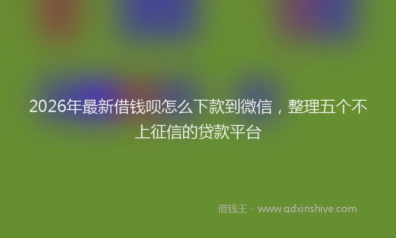2026年最新借钱呗怎么下款到微信，整理五个不上征信的贷款平台