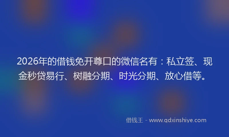 2026年的借钱免开尊口的微信名有:私立签、现金秒贷易行、树融分期、时光分期、放心借等。