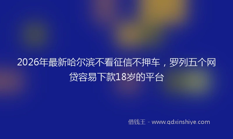 2026年最新哈尔滨不看征信不押车,罗列五个网贷容易下款18岁的平台