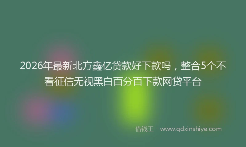 2026年最新北方鑫亿贷款好下款吗，整合5个不看征信无视黑白百分百下款网贷平台