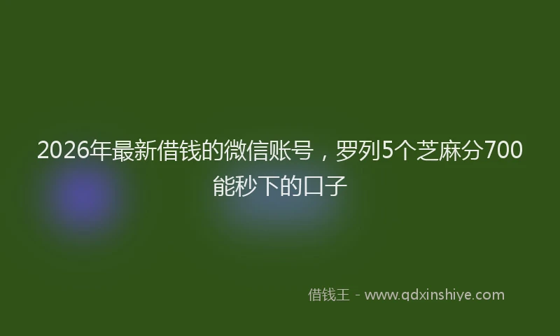 2026年最新借钱的微信账号，罗列5个芝麻分700能秒下的口子