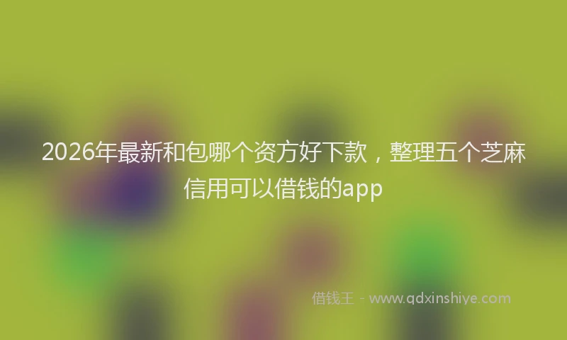 2026年最新和包哪个资方好下款，整理五个芝麻信用可以借钱的app