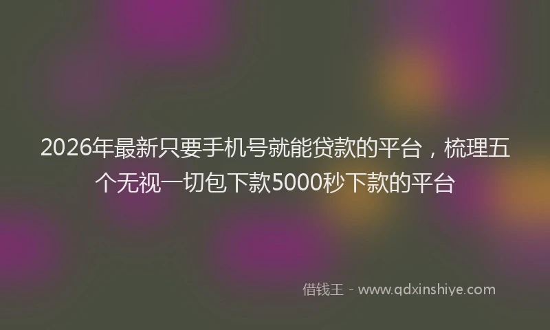 2026年最新只要手机号就能贷款的平台，梳理五个无视一切包下款5000秒下款的平台