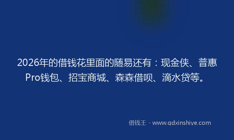 2026年的借钱花里面的随易还有：现金侠、普惠Pro钱包、招宝商城、森森借呗、滴水贷等。