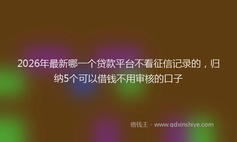 2026年最新哪一个贷款平台不看征信记录的，归纳5个可以借钱不用审核的口子