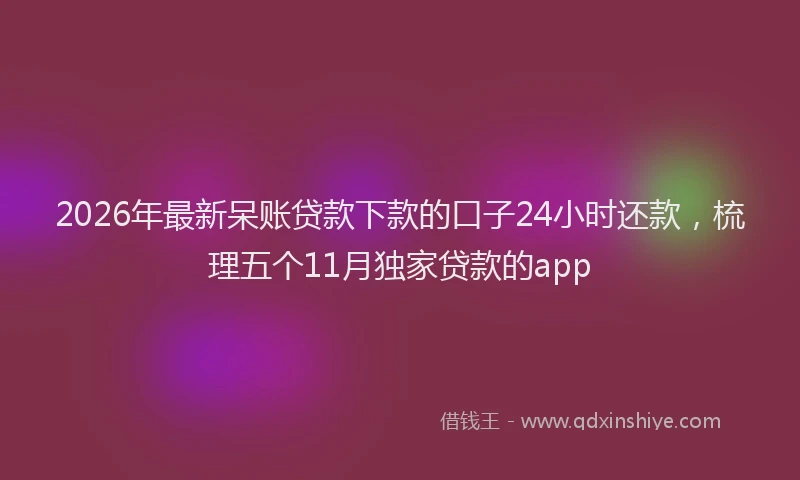 2026年最新呆账贷款下款的口子24小时还款，梳理五个11月独家贷款的app