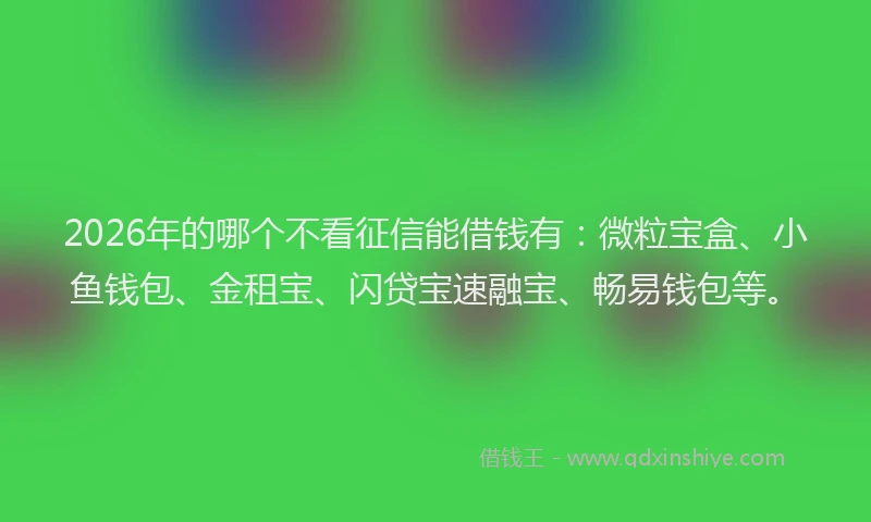 2026年的哪个不看征信能借钱有：微粒宝盒、小鱼钱包、金租宝、闪贷宝速融宝、畅易钱包等。