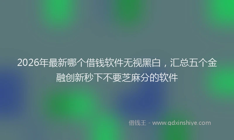 2026年最新哪个借钱软件无视黑白，汇总五个金融创新秒下不要芝麻分的软件