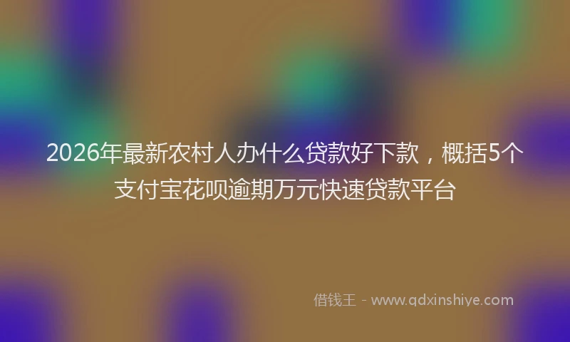 2026年最新农村人办什么贷款好下款，概括5个支付宝花呗逾期万元快速贷款平台