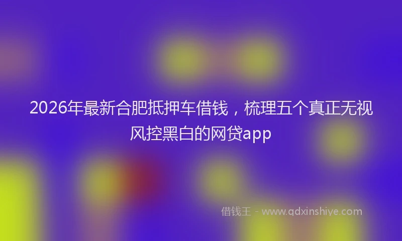 2026年最新合肥抵押车借钱,梳理五个真正无视风控黑白的网贷app