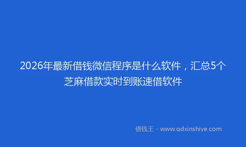 2026年最新借钱微信程序是什么软件,汇总5个芝麻借款实时到账速借软件
