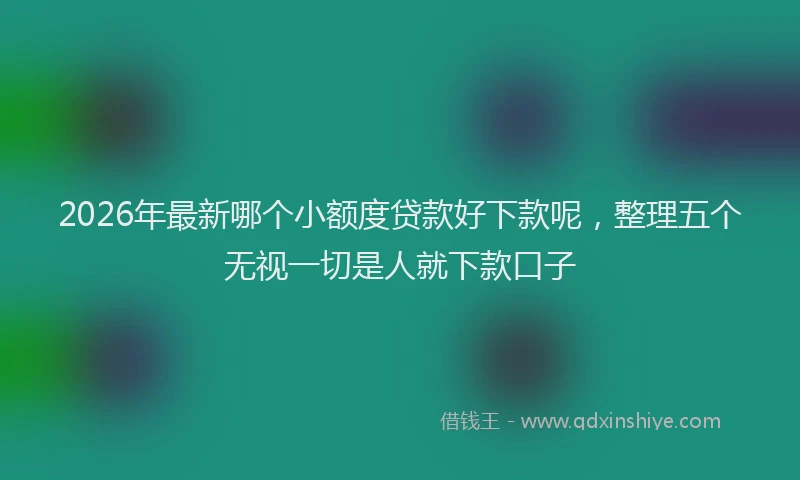 2026年最新哪个小额度贷款好下款呢,整理五个无视一切是人就下款口子