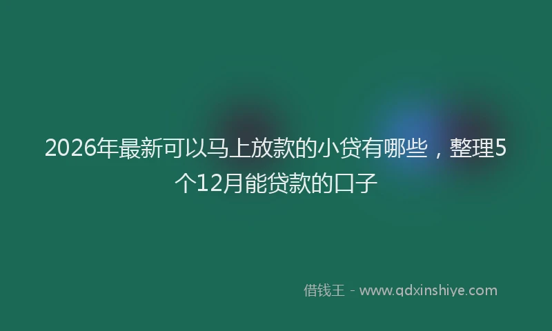 2026年最新可以马上放款的小贷有哪些，整理5个12月能贷款的口子