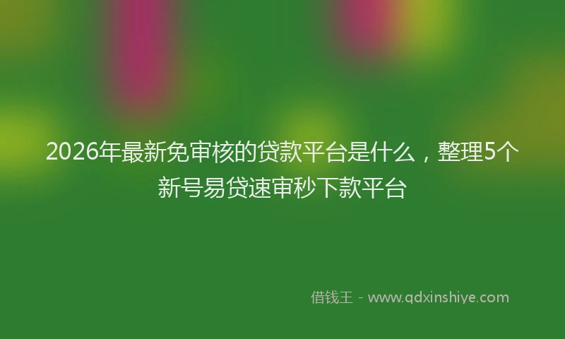 2026年最新免审核的贷款平台是什么,整理5个新号易贷速审秒下款平台