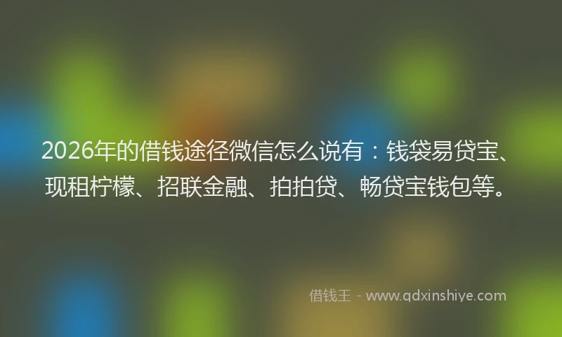 2026年的借钱途径微信怎么说有：钱袋易贷宝、现租柠檬、招联金融、拍拍贷、畅贷宝钱包等。