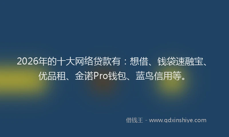 2026年的十大网络贷款有：想借、钱袋速融宝、优品租、金诺Pro钱包、蓝鸟信用等。