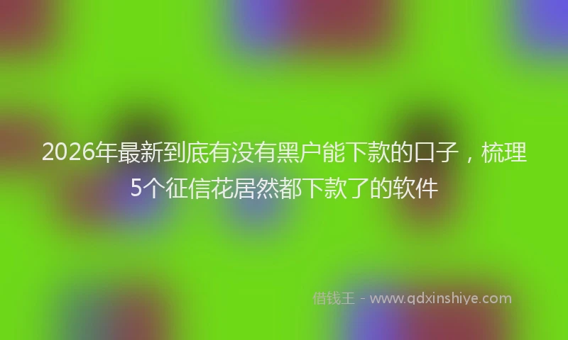 2026年最新到底有没有黑户能下款的口子,梳理5个征信花居然都下款了的软件