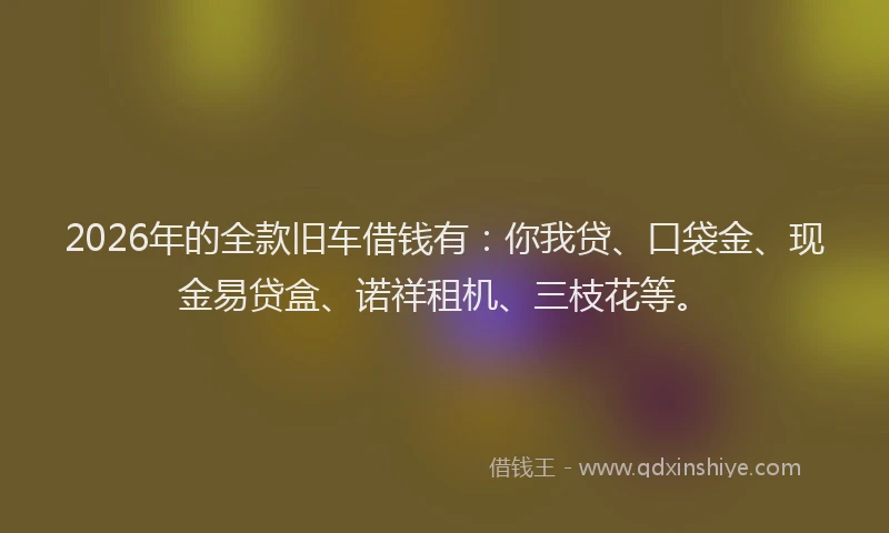 2026年的全款旧车借钱有:你我贷、口袋金、现金易贷盒、诺祥租机、三枝花等。