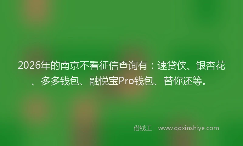 2026年的南京不看征信查询有：速贷侠、银杏花、多多钱包、融悦宝Pro钱包、替你还等。