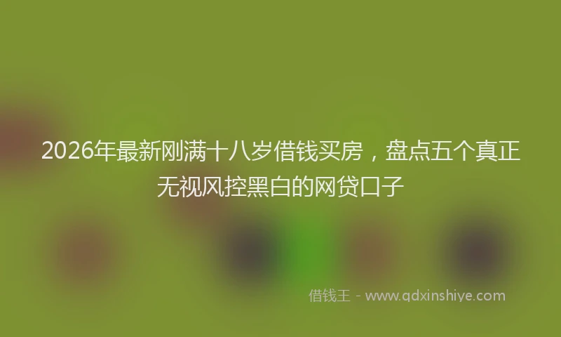 2026年最新刚满十八岁借钱买房，盘点五个真正无视风控黑白的网贷口子