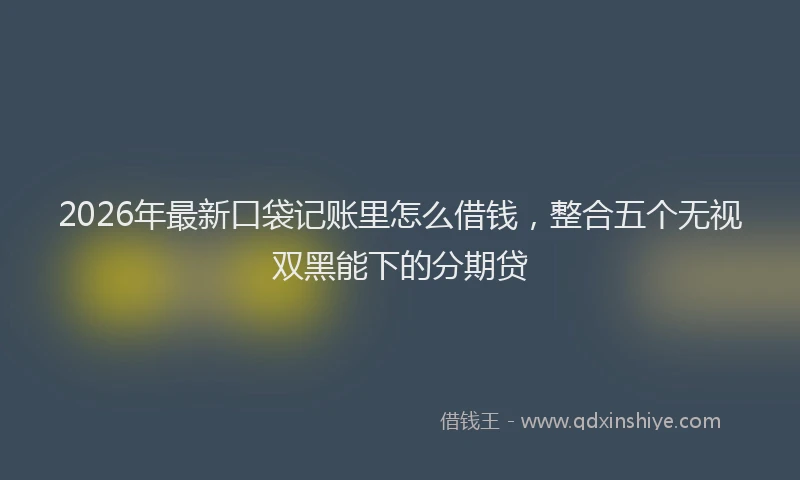 2026年最新口袋记账里怎么借钱，整合五个无视双黑能下的分期贷
