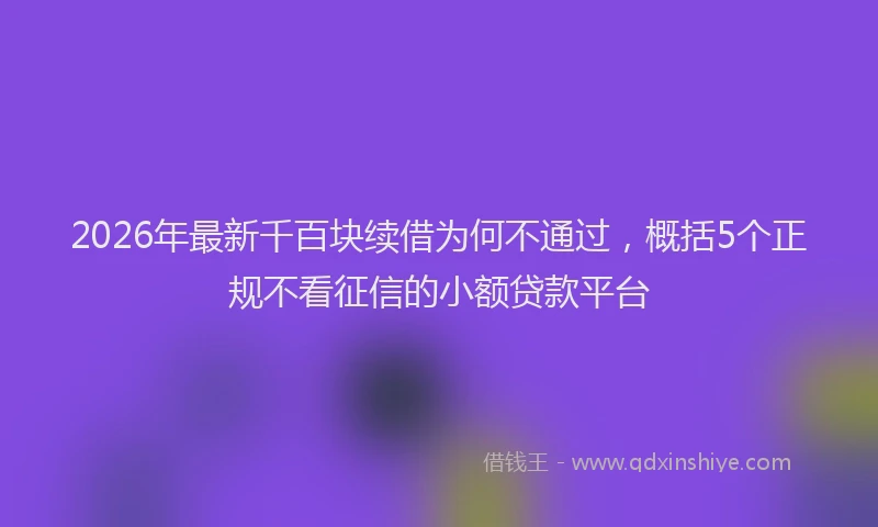 2026年最新千百块续借为何不通过，概括5个正规不看征信的小额贷款平台