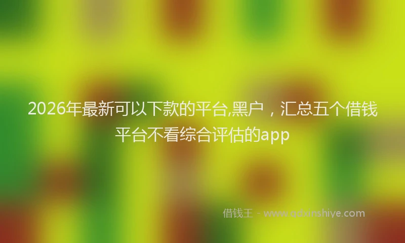 2026年最新可以下款的平台,黑户,汇总五个借钱平台不看综合评估的app