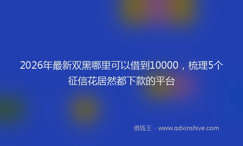 2026年最新双黑哪里可以借到10000，梳理5个征信花居然都下款的平台