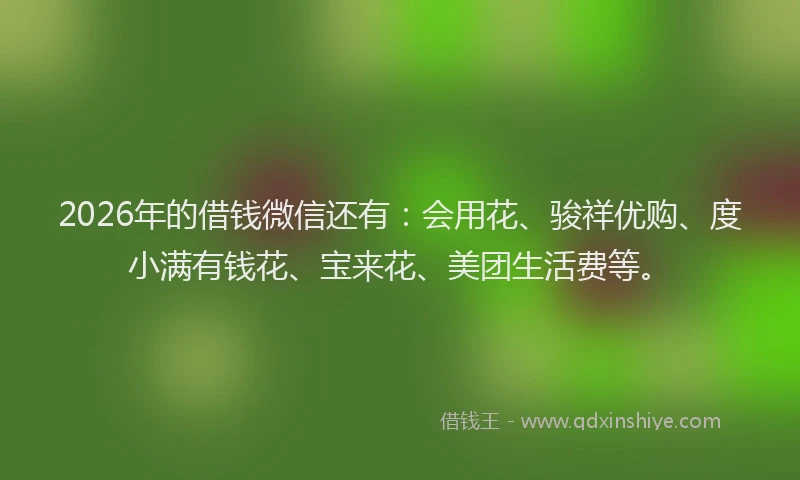 2026年的借钱微信还有：会用花、骏祥优购、度小满有钱花、宝来花、美团生活费等。