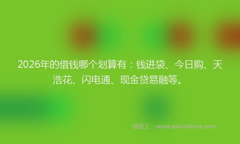 2026年的借钱哪个划算有:钱进袋、今日购、天浩花、闪电通、现金贷易融等。