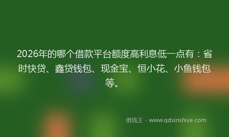 2026年的哪个借款平台额度高利息低一点有：省时快贷、鑫贷钱包、现金宝、恒小花、小鱼钱包等。