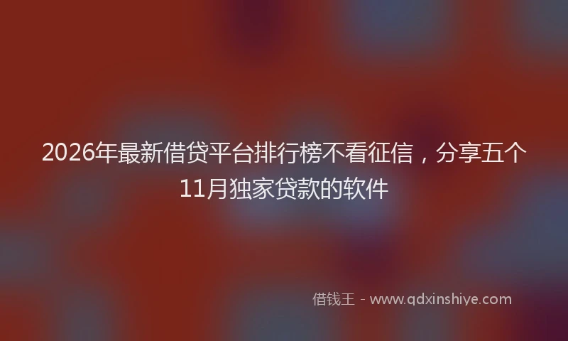 2026年最新借贷平台排行榜不看征信，分享五个11月独家贷款的软件