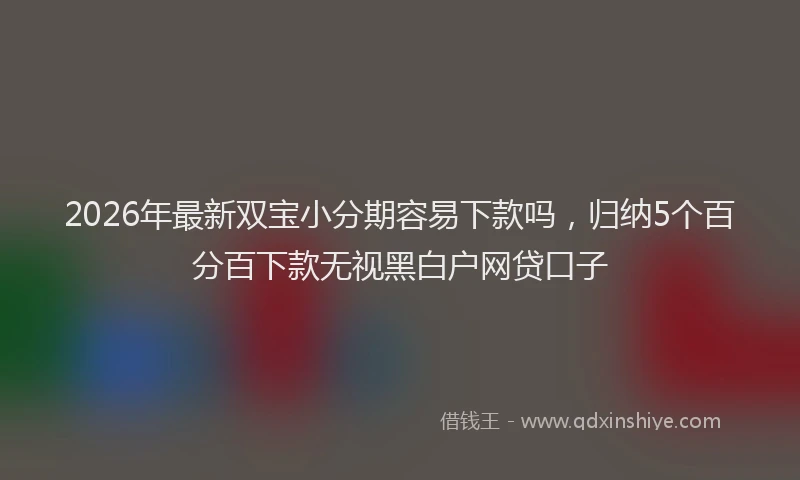 2026年最新双宝小分期容易下款吗，归纳5个百分百下款无视黑白户网贷口子