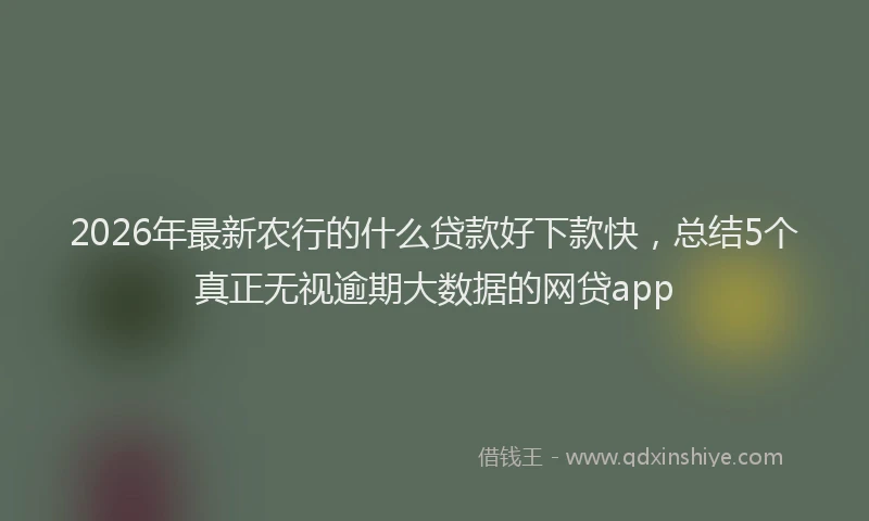 2026年最新农行的什么贷款好下款快,总结5个真正无视逾期大数据的网贷app