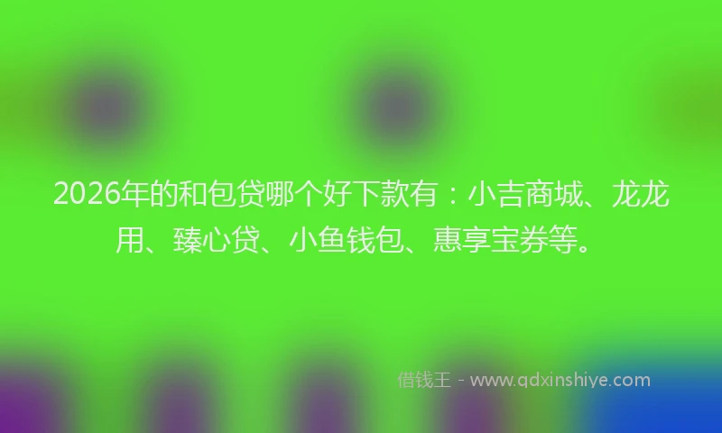 2026年的和包贷哪个好下款有：小吉商城、龙龙用、臻心贷、小鱼钱包、惠享宝券等。